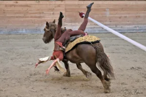 Aurélie maréchale et Podologue Equin à Nivillac