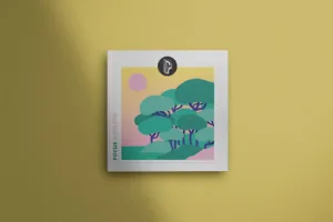 FOCUS MAGAZINE à Montpellier