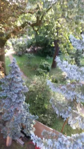 Ixtapa à Boulogne-Billancourt