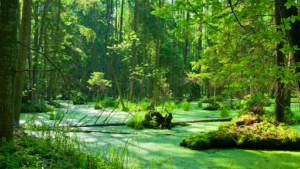 The GreenLab à Paris