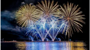 Sodatem Feux Dartifice à La Boissière