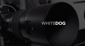 Agence WHITEDOG à Levallois-Perret