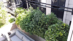 France Televisions Advertising à Boulogne-Billancourt