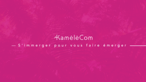 Kamélécom : Agence de Communication à Lille à Faches-Thumesnil