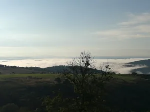 Soyez accompagné avec Concepteur de sites Web Koalam – création web inscrit dans notre annuaire pour trouver votre Concepteur de sites Web autour de moi sur pour un conseil, un accompagnement ou un devis pour votre stratégie de marketing digital. Koalam – [&hellip;]