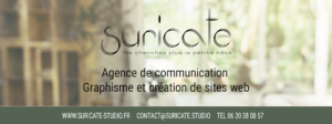 Suricate Studio Agence de communication à Pernois
