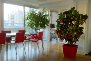 Dixit Productions à Boulogne-Billancourt