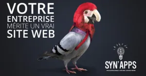 SYN’APPS Agence web à Sainte-Savine