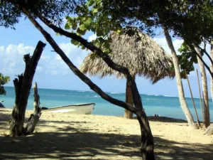 Pacifico Communication à Paris