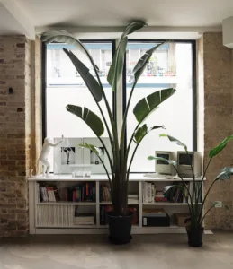 Dimaj Studio à Paris