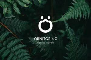 Ornitorinc, agence digitale à Liverdun