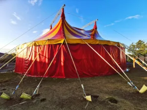 Cirque en Scène à Niort