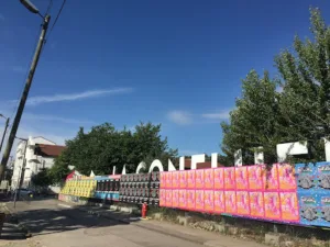 BUZZMAG CONSULTING à Villeurbanne