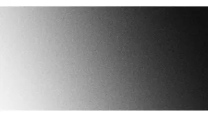 MERVEILLEUSE IDENTITE à Paris