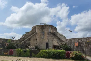 The Eagles of the ramparts – Vol Libre Production à Provins