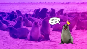 Pasol Interactive à Brantôme