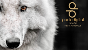 Soyez accompagné avec Concepteur de sites Web Pack Digital inscrit dans notre annuaire pour trouver votre Concepteur de sites Web autour de moi sur pour un conseil, un accompagnement ou un devis pour votre stratégie de marketing digital. Pack Digital est un [&hellip;]