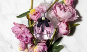 Agence Point11 à Paris