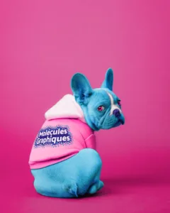 Molécules Graphiques à Malakoff