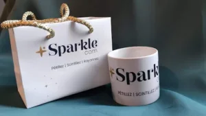 SparkleCom à Angers