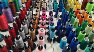 Alyséa à ValdYerre