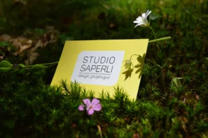 Studio Saperli à Saint-Junien