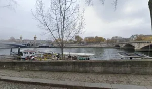 RGC Development à Paris