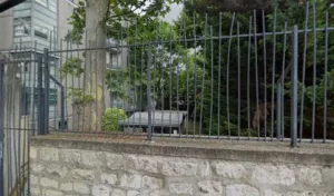 Formations Marketing Digital | communication | management à Paris