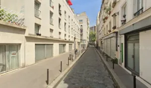 Guepard bleu à Paris